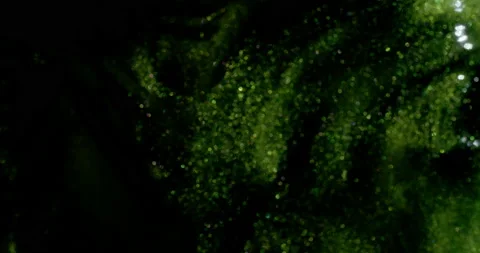 Slowly evolving sparkling green cloud as it gradually moves and changes. Stock-Footage 217363795