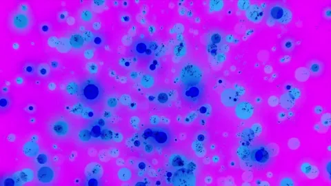 Slowly falling blue circles, dust, bokeh effect on a pink background with f.. Stock Footage 251004798