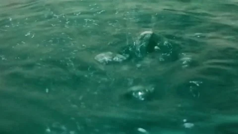 Slowly falling drops of water Stock Footage 202133707