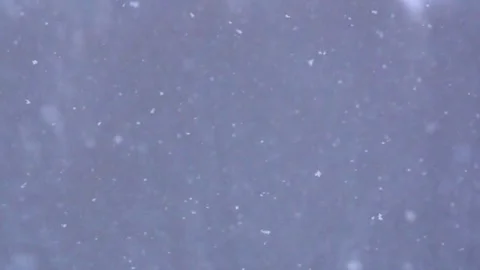 Slowly falling fine snow Stock Footage 147595713