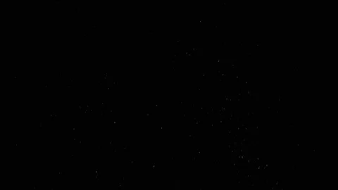 Slowly Falling Mixed Particles of Dust, Debris, Powder on Black Background Stock-Footage 229793390
