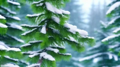 Slowly falling snow against the background of pine trees covered with snow .. Vídeos de archivo 255890196