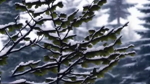 Slowly falling snow against a background of snowy tree branches in the fore.. Stock Footage 255897902