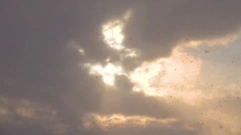 Slowly falling snow against a cloudy sky Stock Footage 194428416