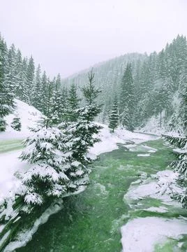 Slowly falling snow on background of a winter snowy landscape. Stock Photos