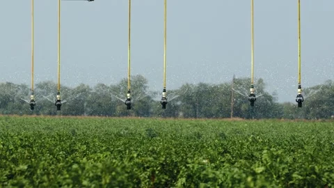 Slowly filmed work of artificial pivot irrigation system at agriculture field Stock Footage 160407732