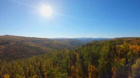 Slowly flight over the trees Video stock 122787184