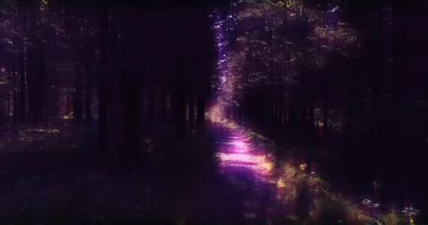 Slowly floating through enchanted magic forest, soft purple green glow Stock-Footage 99579725
