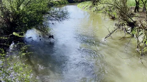 Slowly flowing rivulet during spring sunny day Stock Footage 239360442