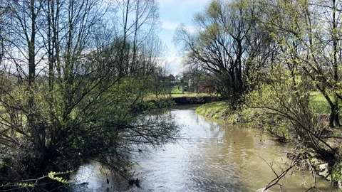 Slowly flowing rivulet during spring sunny day Stock Footage 239360508