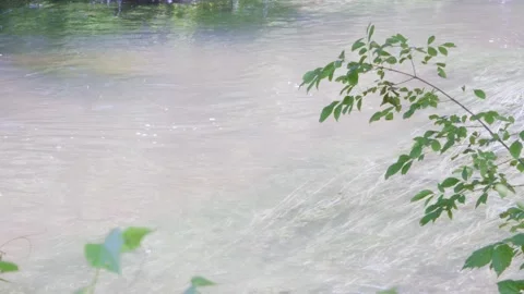 Slowly flowing water in small Texas river Stock Footage 335597245