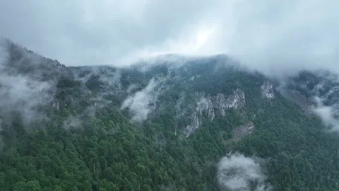 Slowly fly in a cloud of fog, over green forest and rocky cliffs. Stock Footage 281008117