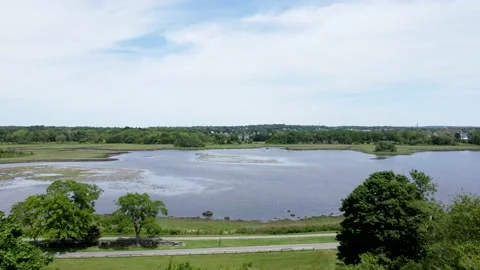 Slowly flying through trees and over water. Stock Footage 155865457