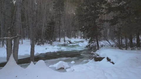 Slowly Flying Toward a Small River in Winter Stock Footage 300194484