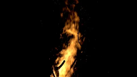 Slowly High flame of fire from the fire at night Stock Footage 113485286