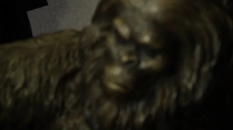 Slowly moves the camera in front of gorilla doll sasquatch big foot bigfoot Stock Footage