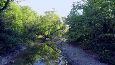 Slowly Moving from Dark to Light Stock Footage 239291395