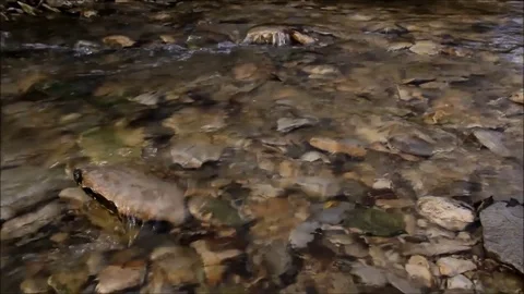 Slowly moving down a small stream Stock Footage 71285392