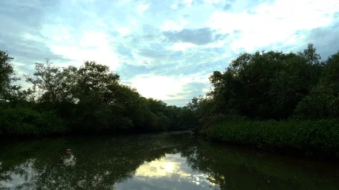 Slowly moving in a river on a calm evening in a town in Kerala Stock Footage 120836256