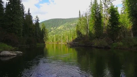 Slowly moving by the river Stock Footage 81662216