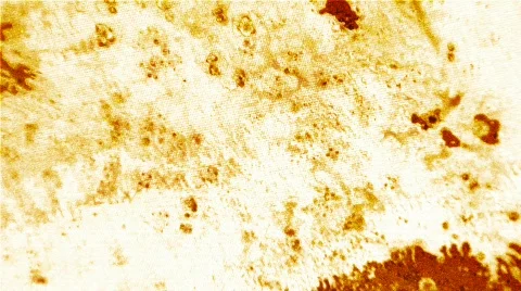 Slowly Out Видео 104957