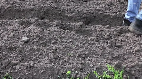 Slowly pulls back, retreating with the cultivator Stock Footage 66185740