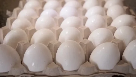 Slowly rotating a large light overhead a large beige carton of eggs Video stock 339100970