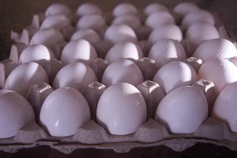 Slowly rotating a large light overhead a large beige carton of eggs Stock Photos
