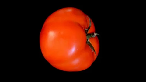 Slowly rotating tomato on black background 스톡 동영상 115911951
