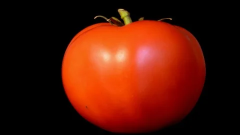 Slowly rotating tomato on black background Stock Footage 115912080