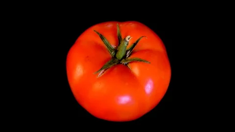 Slowly rotating tomato on black background 스톡 동영상 115912108