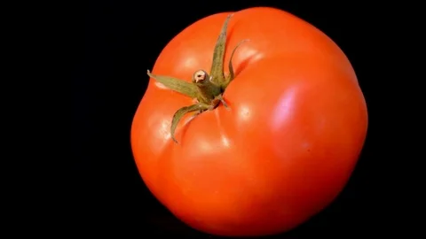 Slowly rotating tomato on black background 스톡 동영상 115912487
