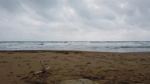 slowly sinking down shot of dead turtle ... | Stock Video | Pond5