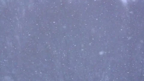Slowly snow falls Stock Footage 147595924