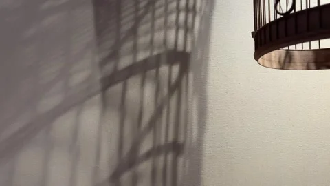Slowly Spinning Bird Cage Shadow on Wall Abstract Close Up Background Texture Stock Footage 332561188