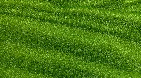 Slowly waving grassy background Video stock 21221410