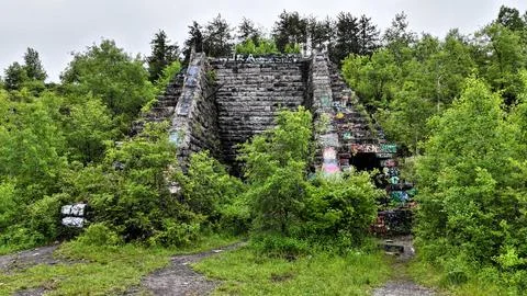 Slowly Withering - Split Rock Quarry - Syracuse, NY Stockfoto's