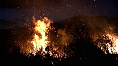 Slowmo Bush Fire Stock Footage 160178372