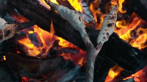 Slowmo closeup of bread dough on a stick over wooden fire Stock Footage 241007206