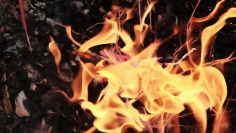 Slowmo closeup of candles burning in a campfire Video stock 241007700