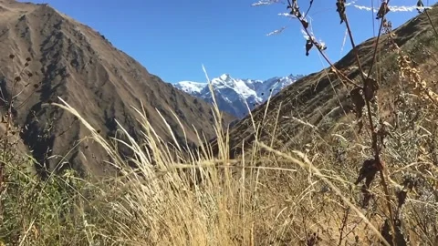 Slowmo Grass in the Himalayans 動画素材 149017384