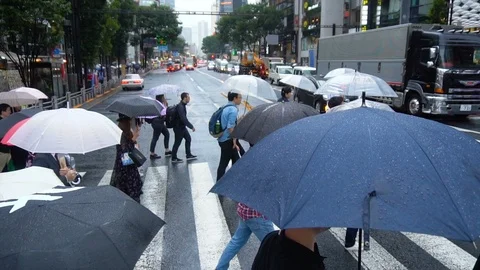 Slowmo Side View - People Holding Many Umbrellas While Crossing Street in Tokyo Stock Footage 104415714