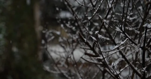 SlowMo Snow falling 2 库存影片 102533266