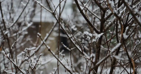 SlowMo Snow falling 4 Stock Footage 102533252