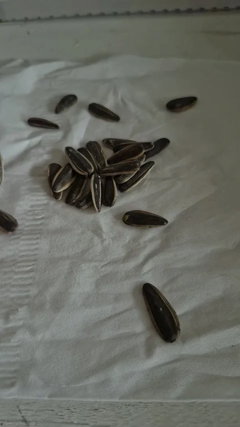Slowmo sunflower seeds Stock Footage 327692511