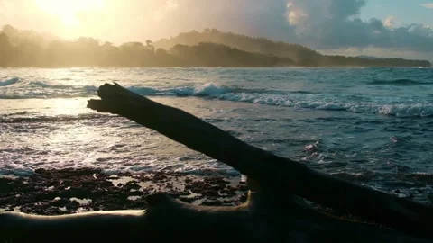 Slowmo of waves breaking in the sunset with a tree branch in the foreground Video stock 241012172