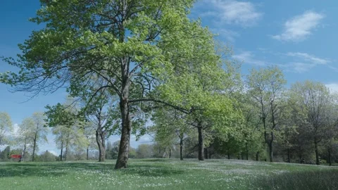 SLOWMOTION BACKGROUND VIDEO Vídeo Stock 334101957