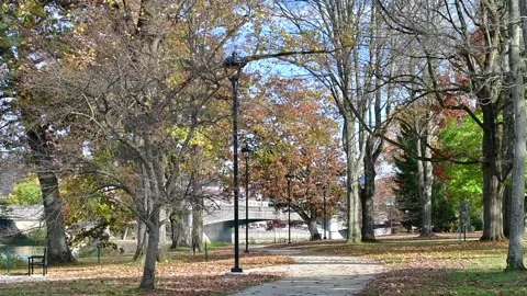 Slowmotion city park Stock-Footage 255294592