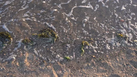 Slowmotion closeup of waves lapping against the beach Stock Footage 137426337
