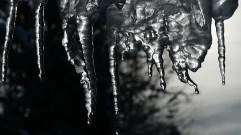 Slowmotion of dripping icicles on a warm bright sunny day. Melting icicle on a Stock Footage 147107321